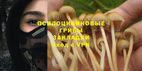PSILOCYBIN Абинск