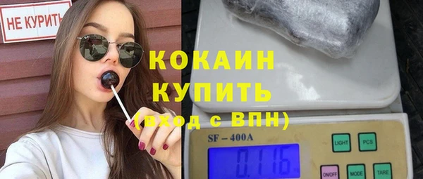соль ск Абаза