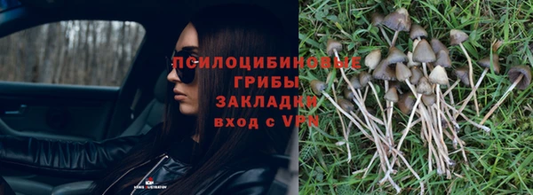 соль ск Абаза