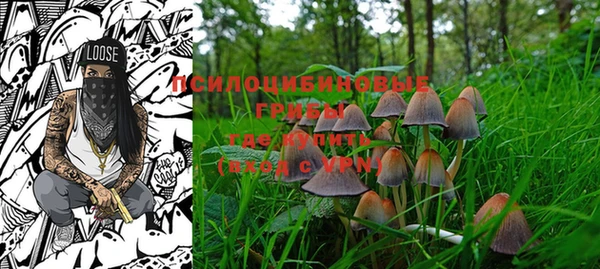 PSILOCYBIN Абинск
