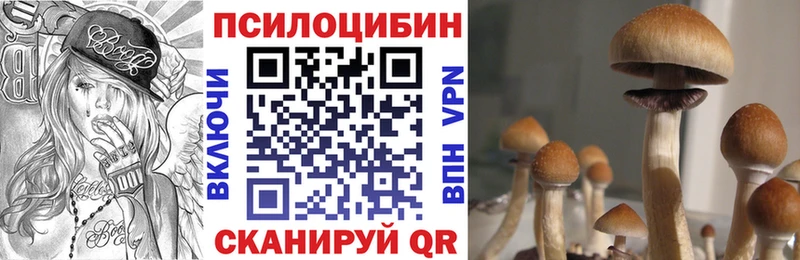 Псилоцибиновые грибы Psilocybe  закладка  Тавда 